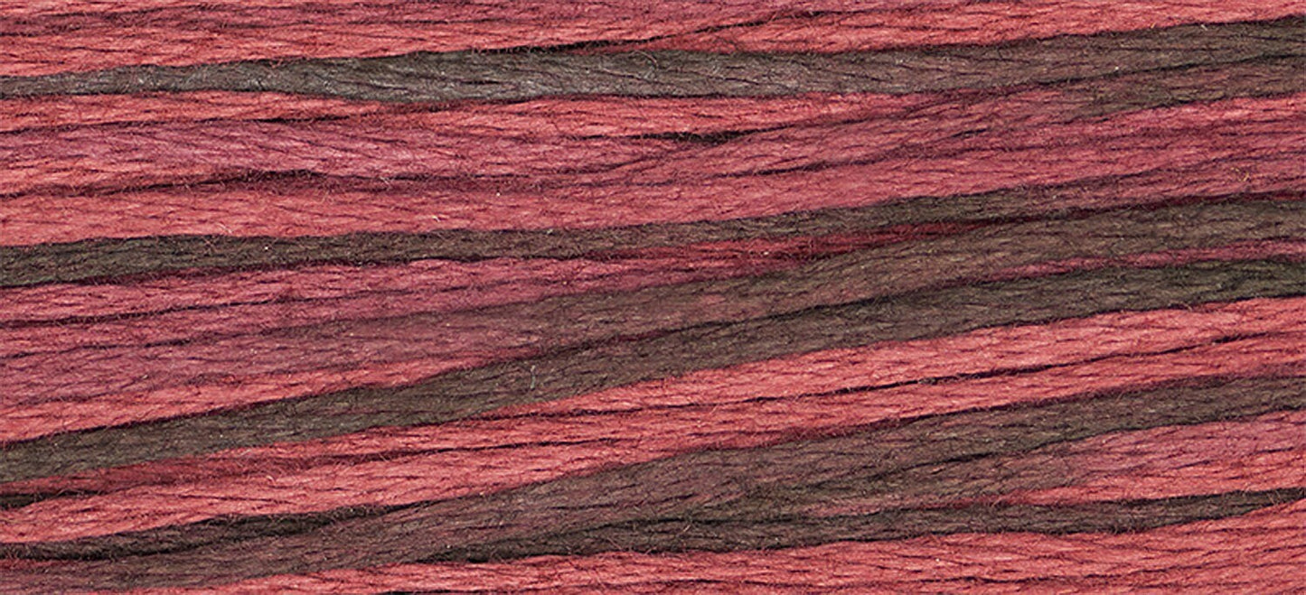 Indian Summer Weeks Dye Works Floss - 6 strand - 5 yards