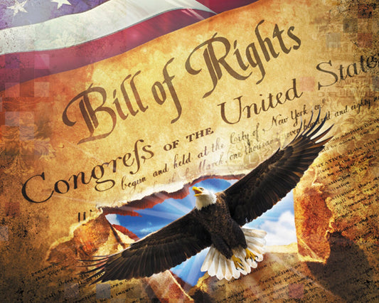 Patriotic Fabric Panel - “Land of Liberty Bill of Rights” - Eagle Panel - 36” x 44” - Four Seasons by David Textiles - Digital Fabric Panel