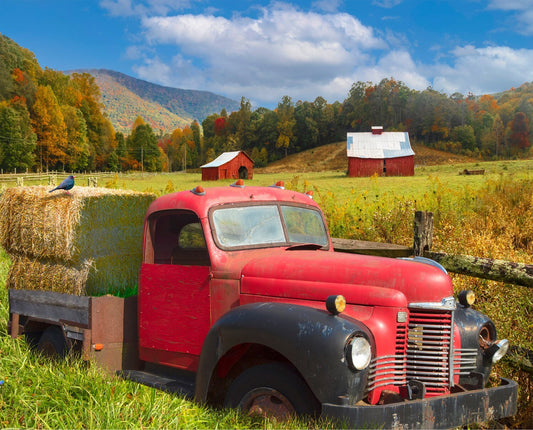 Red Vintage Truck Fabric Panel - Quilt Panel - 36” x 44” - Four Seasons by David Textiles - Digital Fabric